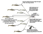 School-E-Rig Perfection JR
